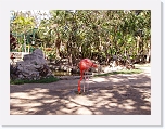 Flamingos (3) * 1024 x 768 * (199KB)